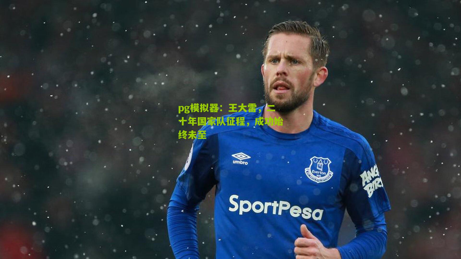 王大雷，二十年国家队征程，成功始终未至